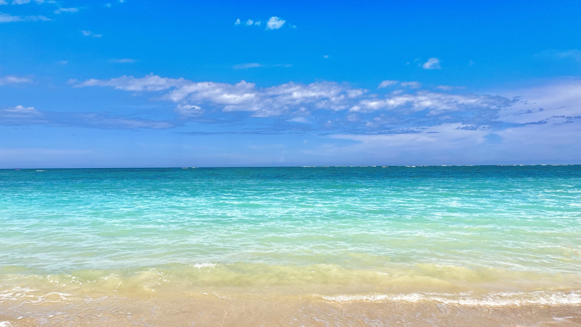 株式会社 LIFE RIDER